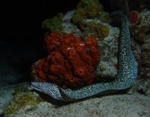 DSC05346.jpg