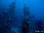 IMG_0111pb.jpg