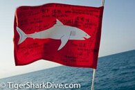 tiger-shark-flag-1.jpg