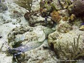 IMG_3413v1.jpg