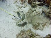 IMG_3418v1.jpg