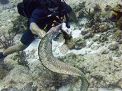 IMG_3422v1.jpg