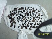100_2386.jpg