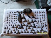 100_2486.jpg