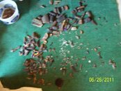 100_2488.jpg