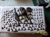 100_2492.jpg