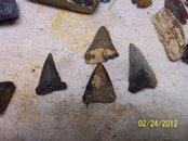 100_2495.jpg