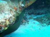Coz-Santa Rosa Wall & Punta Tunich 043.jpg