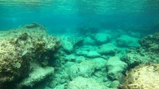 Blue Lagoon West Caicos.jpg