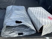 IMG_3731.jpeg