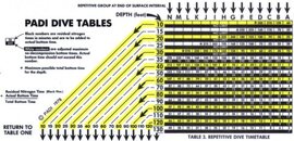 dive table back.jpg