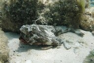 IMG_2351a.jpg