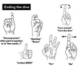 signals3.jpg