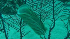Unidentified.jpg