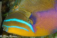 cayman_2012-258.jpg