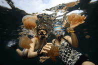 IMG_6169.gif