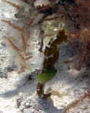 IMG_5798.jpg