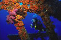 ship-wrecks-10-g1.jpg
