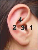 Proplugs_Sizing.jpg