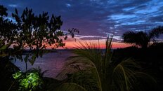 PXL_20210428_003039025.jpg