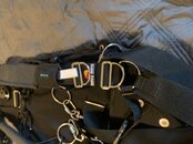 IMG_1055.jpg