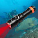 D530 Red LED dive light.jpg