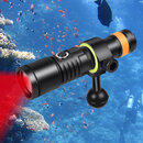 D530V Red LED Dive Light .jpg