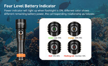 D530 Red LED Dive Light .jpg