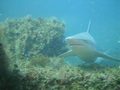 DSC03868.JPG