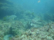 DSC03819.JPG