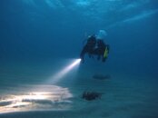 Night Dive Torch  with Two Batteries and Wrist Strap.jpg