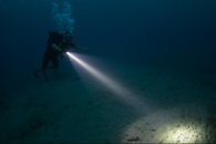 Super Bright Dive Light with Wrist Strap.png