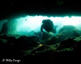 Graham-Dave-silhouete-1.jpg
