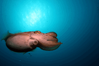 IMG_6772.gif
