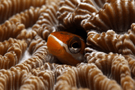 IMG_6651.gif