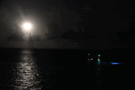 IMG_0141.gif