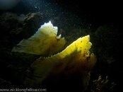 IMG_3946.jpg