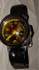 JAPAN GAUGE.jpg
