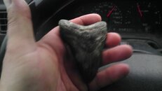 IMAG1074.jpg