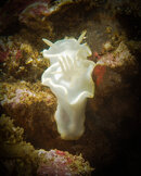 _1010098-Edit.jpg