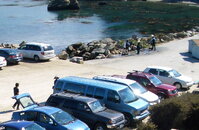 2007 Sept Point Lobos 051-cropped.jpg