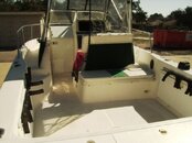 IMG_0090rs.JPG