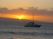 IMG_0409.jpg
