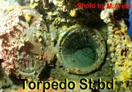 Torpedo Forum.JPG