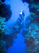 2008-04-01 Dive 1- Ray (5).jpg