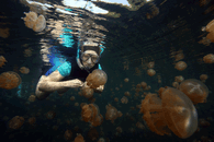 IMG_4404.gif