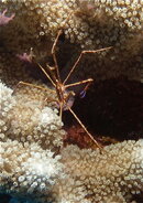 DSCN7448_2.JPG