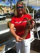 lobster.jpg
