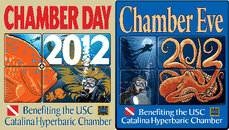 Ch-Day & Eve 2012 (COMBO - 300).jpg