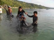 whale_shark_surfing.jpg
